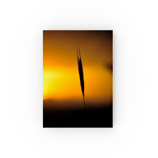 Hard Backed Journal – Quiet Light | SG808 Artist Collection – Alexandra Yaros